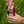 Caisse Mixte 24 x 355ml