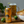 Coffret Oktoberfest sans alcool