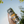 Orange Radler - 12 x 473 ml -  Limited Edition
